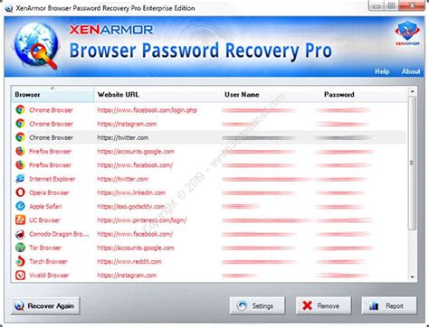 Portable Browser Password Recovery Pro Enterprise Edition 3.5